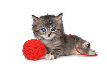 Image showing Playful Kitten With Red Ball of Yarn