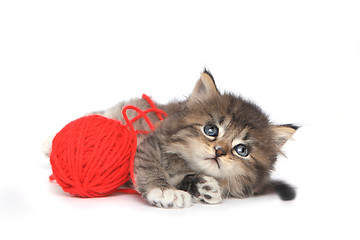 Image showing Playful Kitten With Red Ball of Yarn