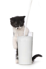 Image showing Cute Kitten Watching Milk Pour Into a Glass