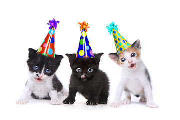 Image showing Birthday Song Singing Kittens on White Background