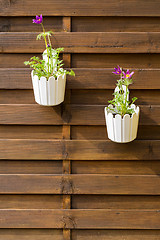 Image showing Flower pot hanging on wooden fence