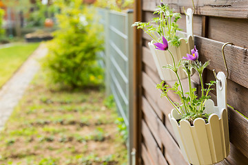 Image showing Flower pot hanging on wooden fence