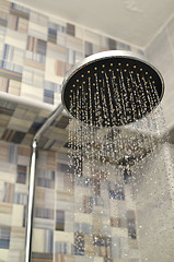 Image showing Shower head with dropping water