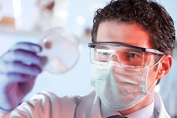 Image showing Life science researcher observing cells in petri dish.