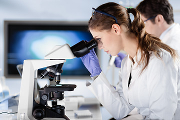 Image showing Life scientist researching in the laboratory.