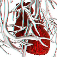 Image showing Human heart and veins. 3D illustration.. Anaglyph. View with red
