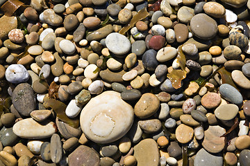 Image showing Pebbles