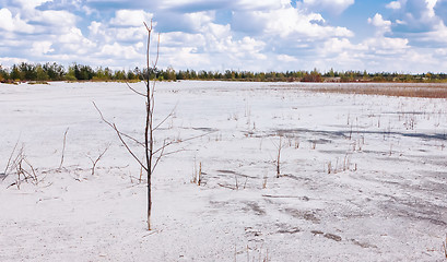 Image showing Summer Landscape With White Sand