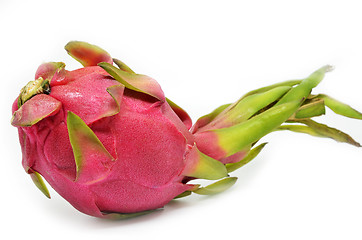 Image showing Vivid and Vibrant Dragon Fruit