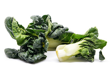 Image showing Milk cabbage bok choy