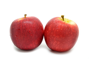 Image showing Fresh red two apples