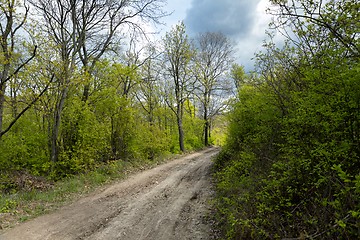 Image showing Road in the forest