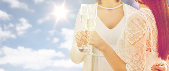 Image showing close up of lesbian couple with champagne glasses