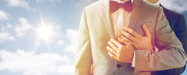 Image showing close up of male gay couple with wedding rings on