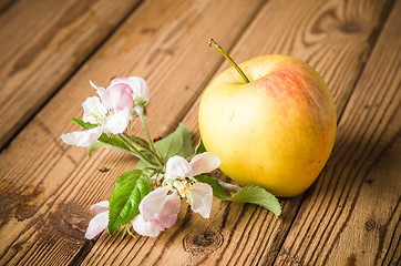 Image showing Ripe apple and blossoming branch of an apple-tree on a wooden su