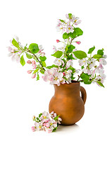 Image showing Branch of blossoming apple-tree in clay pitcher on white backgro