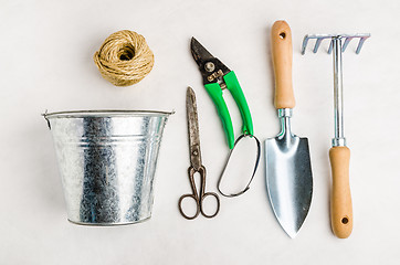 Image showing Garden tools for planting, on white background