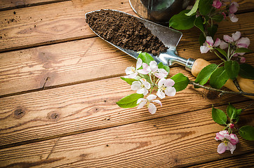 Image showing Branch of blossoming apple and garden tools on a wooden surface,