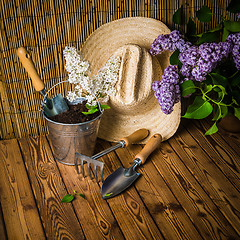 Image showing Gardening tools and a branch of a blossoming white lilac
