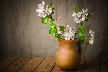 Image showing Branch of a blossoming apple-tree in a clay pitcher, close-up