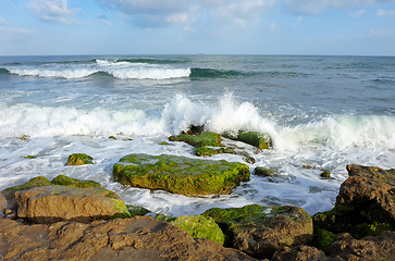 Image showing Mediterranean Coast of Israel