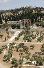 Image showing Kidron Valley and the Mount of Olives