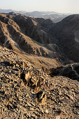 Image showing Red Sea Mountains