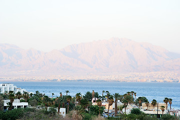 Image showing Red Sea Coast