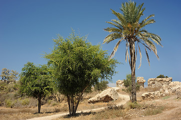 Image showing Park of Ashkelon in Israel