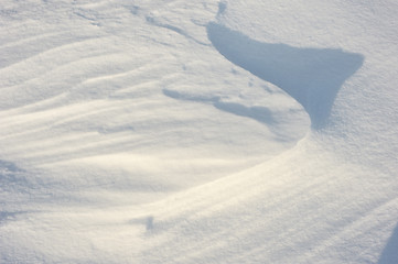 Image showing Texture of the snow