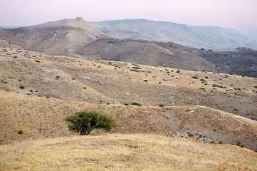 Image showing Slopes of the Golan Heights