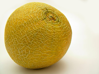 Image showing melon