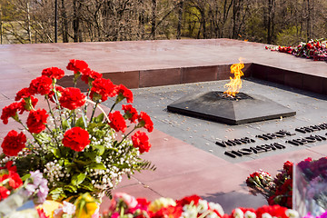 Image showing Flowers at Eternal Flame on May 9 on Victory Day