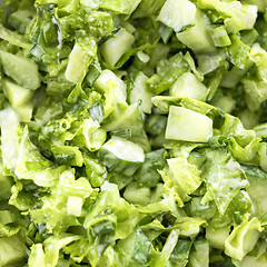 Image showing Green salad of cucumbers, lettuce, onions and parsley