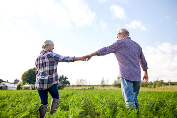 Image showing happy senior couple holding hands at summer farm