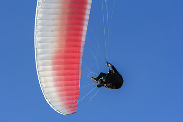 Image showing Paraglider flying in the blue sky as background