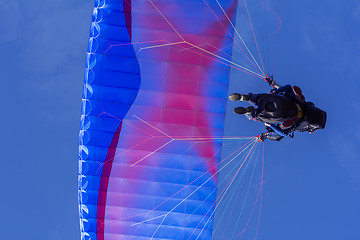 Image showing Paragliding in tandem, extreme sport, free gliding and blue sky 
