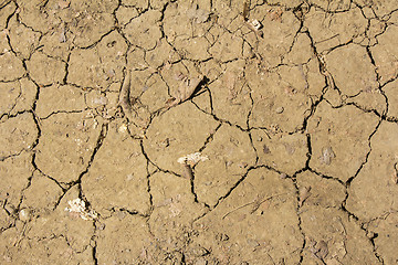 Image showing Dry Cracked ground and leaves as nature background