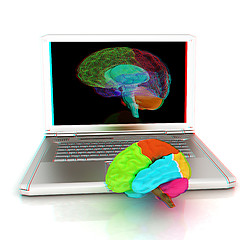 Image showing creative three-dimensional model of real human brain and scan on