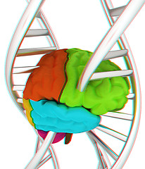 Image showing Brain and dna. 3d illustration. Anaglyph. View with red/cyan gla