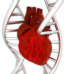 Image showing DNA and heart. 3d illustration. Anaglyph. View with red/cyan gla