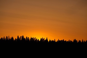 Image showing Sunset over trees