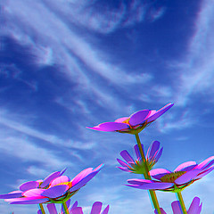 Image showing Beautiful Cosmos Flower against the sky. 3D illustration.. Anagl