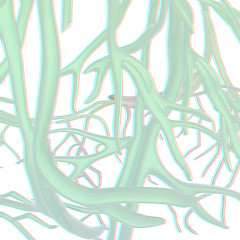 Image showing veins. 3d illustration. Anaglyph. View with red/cyan glasses to 