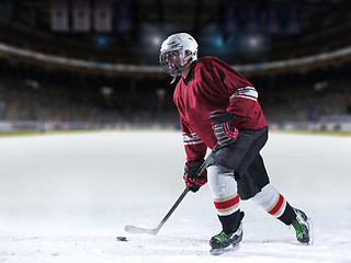 Image showing ice hockey player in action