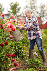 Image showing senior woman watering flowers at summer garden