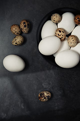 Image showing Quail and chicken eggs on a table