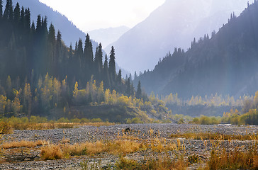 Image showing View on trees and mountains in Issyk area