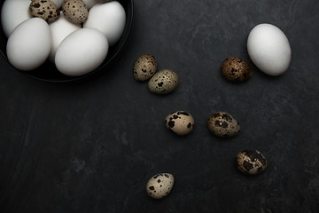 Image showing Quail and chicken eggs on a table