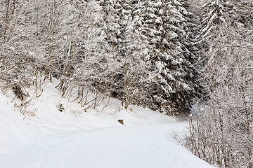 Image showing Winter Footpath